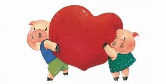 派出所院子里跑進(jìn)來(lái)一只小豬，接下來(lái)會(huì)發(fā)生一系列什么事呢......